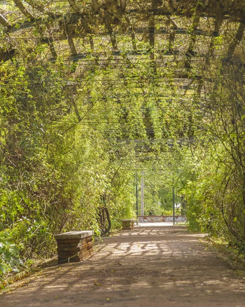 Ботанический сад Монтевидео — стоковое фото