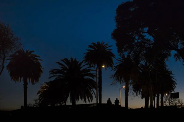 Night Scene w: Park, Montevideo, Uruguay — Zdjęcie stockowe