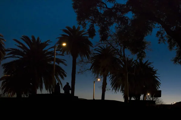 Night Scene w: Park, Montevideo, Uruguay — Zdjęcie stockowe