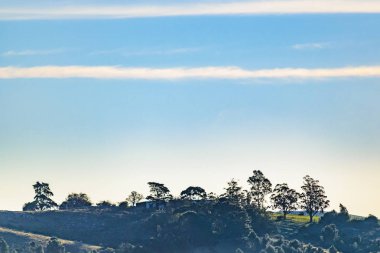 Kırsal manzara sahne, Lavalleja, Uruguay
