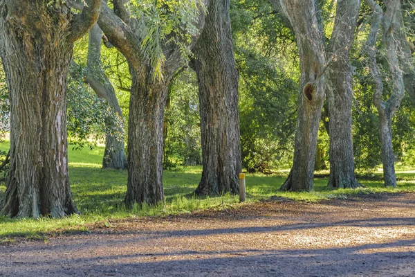 Parco del Prado, Montevideo, Uruguay — Foto Stock