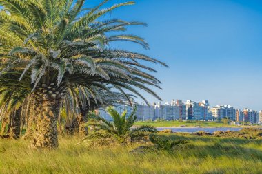 Waterfront Park, Montevideo, Uruguay