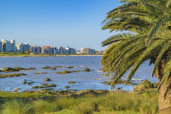 Parque frente al mar, Montevideo, Uruguay — Foto de Stock