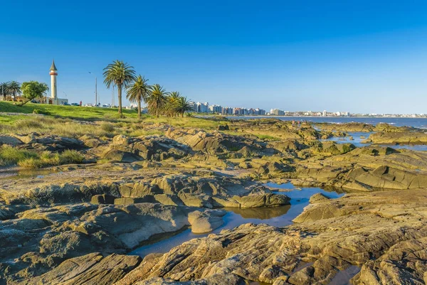 Rotsachtige kust scène, Montevideo, Uruguay — Stockfoto