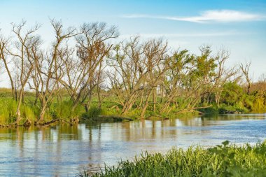 Parana Nehri, San Nicolas, Arjantin