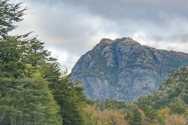 Paisagem Florestal da Patagônia, Chile — Fotografia de Stock