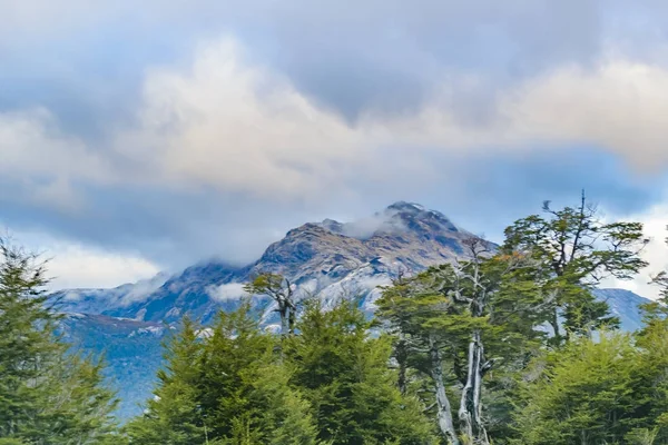 Patagonya orman manzara, Şili