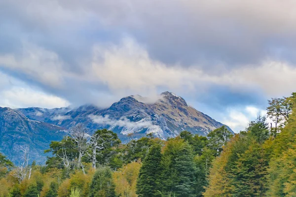 Patagonië bos landschap, Chili — Stockfoto