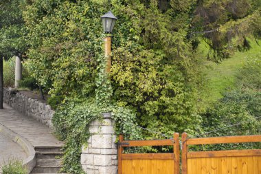 Park ayrıntı, Bariloche, Argentina