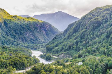 Patagonya orman manzara, Aysen, Chile