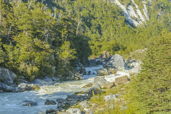 Patagonië Forest, Aysen, Chile — Stockfoto