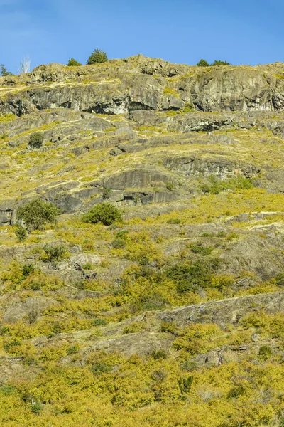 アンデス パタゴニア風景、プエルトアイセン、チリ — ストック写真
