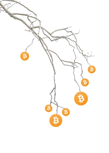 Hintergrund des Finanzkonzepts Bitcoins — Stockfoto