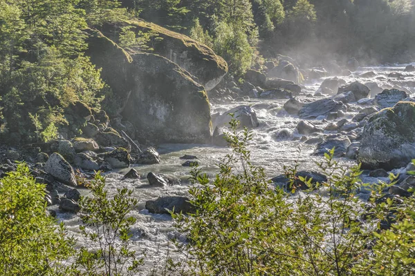 Queulat Park, Patagonië, Chili — Stockfoto