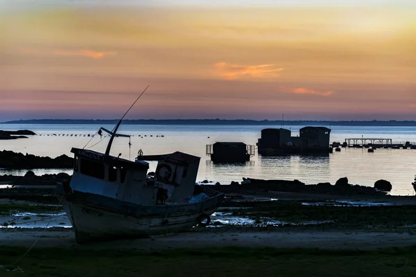 Kıyı olay yerinde Fjord, Patagonia, Şili — Stok fotoğraf