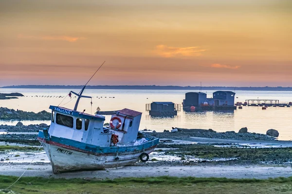 Escena costera en fiordo, Patagonia, Chile — Foto de Stock