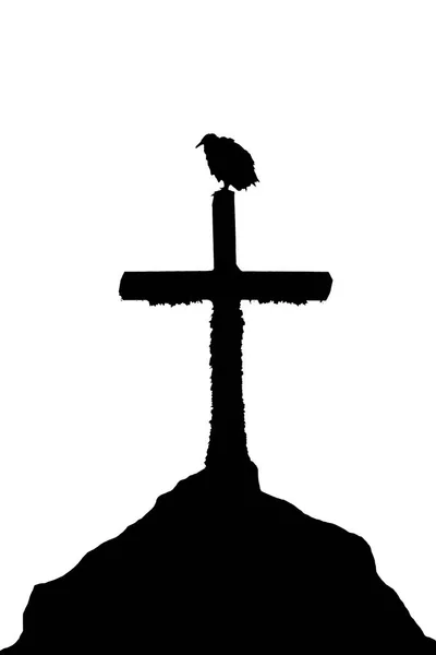 鸟在十字架教会图剪影的顶端 — 图库照片