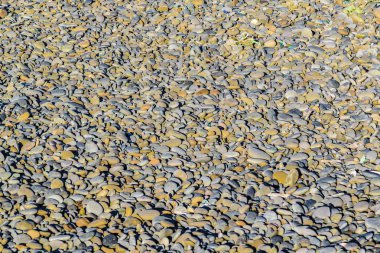 Taş doku arka plan yuvarlak