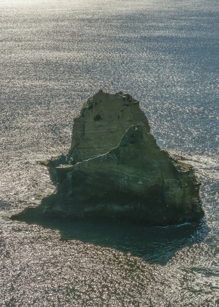 太平洋の大きな岩 — ストック写真