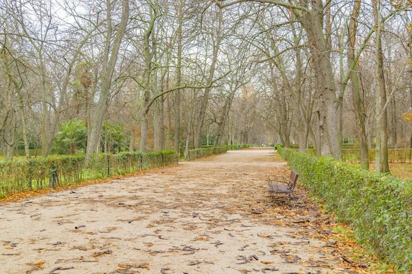 Del Retiro Park, Madrid, Spain — Zdjęcie stockowe