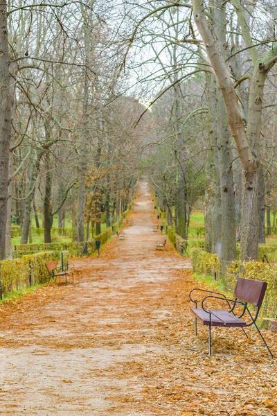Parque del Retiro, Madrid, España — Foto de Stock
