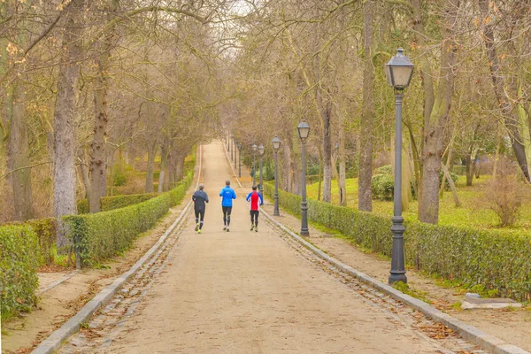 Del Retiro Park, Madrid, Spagna — Foto Stock