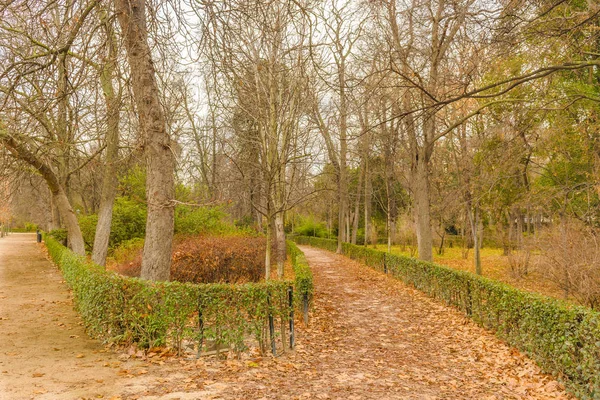 Del Retiro Park, Madrid, Spagna — Foto Stock