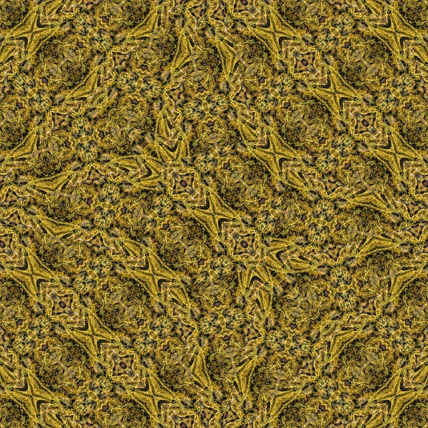 Ethnic Intricate Ornate Seamless Pattern — Stock Photo, Image