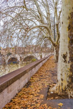 Tiber Nehri Roma Cityscape