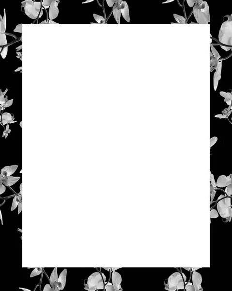 Marco blanco con bordes decorados — Foto de Stock