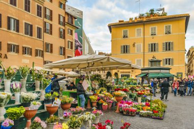 Campo dei Fiori Meydanı, Roma, İtalya
