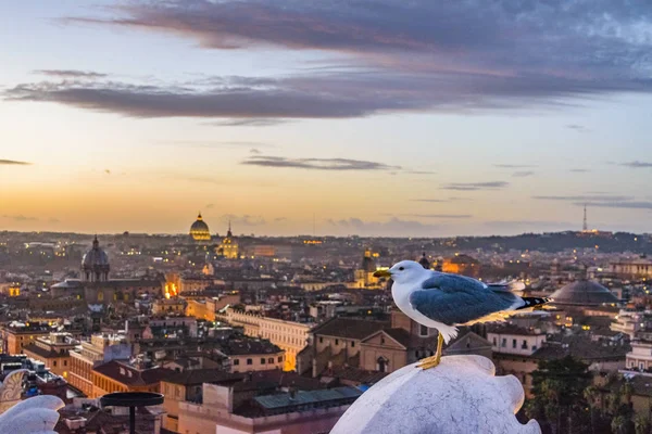 Night Scene Roma Cityscape Aerial View — Stok Foto