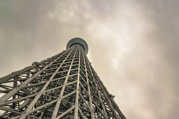일본, 도쿄에 있는 높은 나무 탑 건물 — 스톡 사진