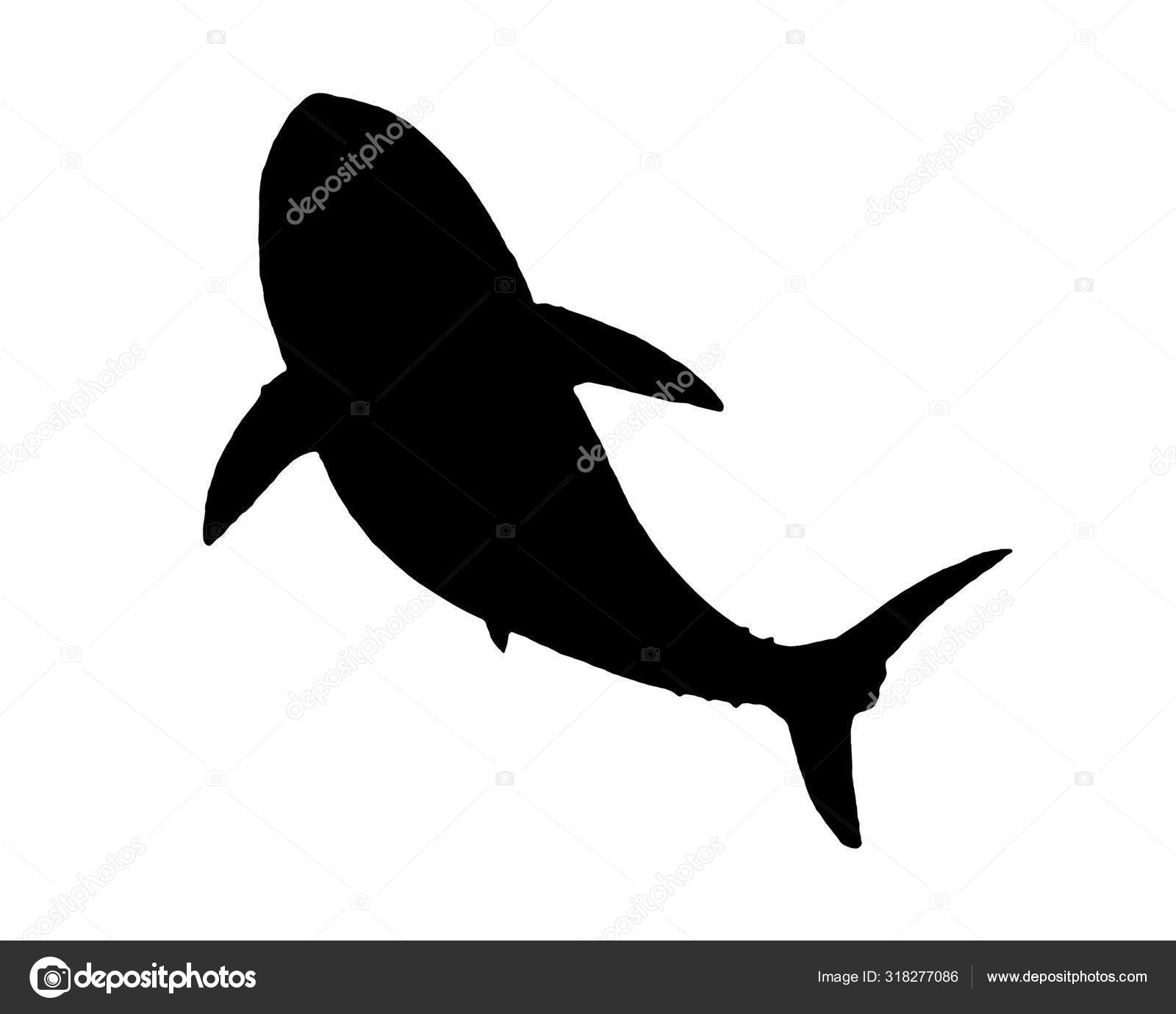 Fiskar Silhuett Grafisk isolerad Ritning — stockfoto © DanFLCreativo  #318277086, image size:1600x1380