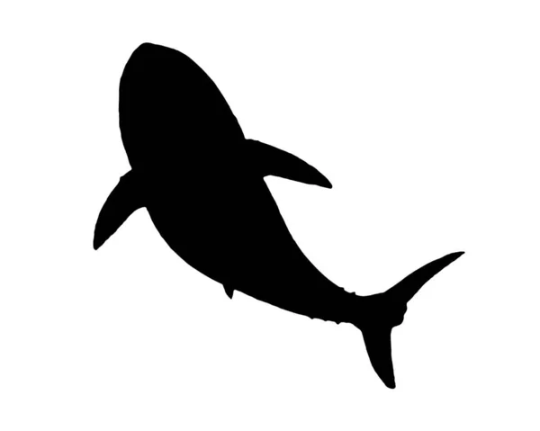 Pesce Silhouette Grafico isolato Disegno — Foto Stock