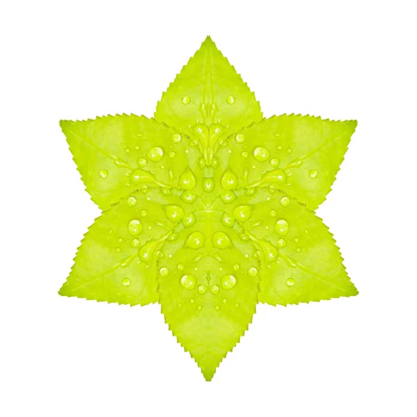 Flor verde artificial isolado Obra de Arte — Fotografia de Stock