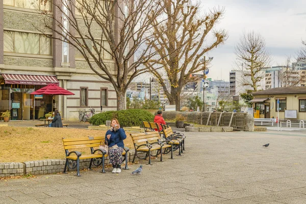 Parque Ueno en la temporada de invierno, Tokio, Japón — Foto de Stock