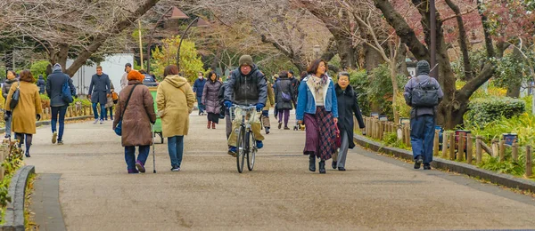 Ueno park im winter, tokyo, japan — Stockfoto