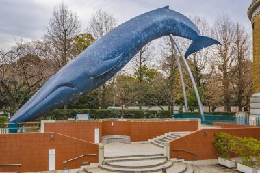 Tokyo Ulusal Bilim Müzesi, Japonya