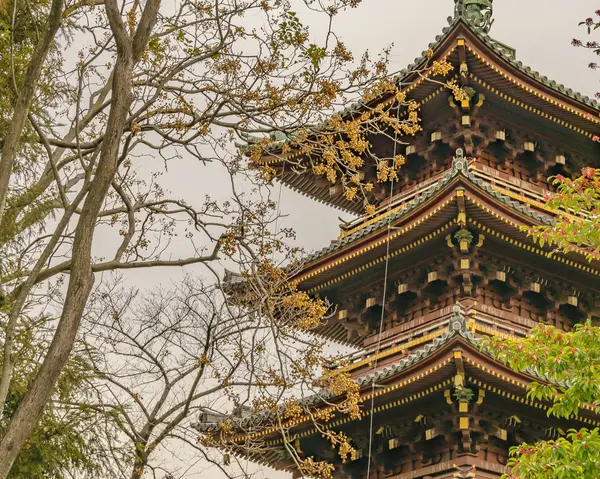 Kanei-ji Pagoda, Ueno Park, Tokio, Japonia — Zdjęcie stockowe