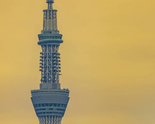 Tokyo Himmel Baum Turm lange entfernten Schuss — Stockfoto
