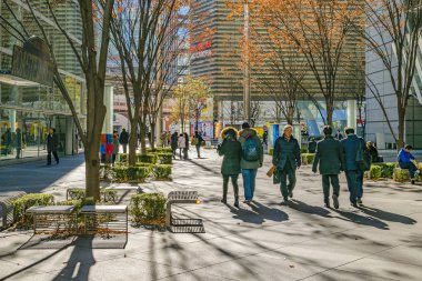 Ginza Bölgesi Şehir Sahnesi, Tokyo, Japonya