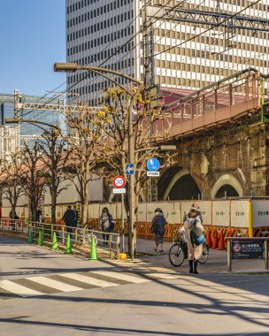 Ginza Bölgesi Şehir Sahnesi, Tokyo, Japonya