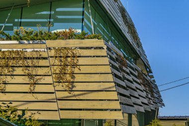 Modern Tahta Ev Dış Görünümü, Shibuya Bölgesi, Tokyo, Japonya