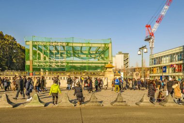 Kalabalık Şehir Sahnesi, Tokyo, Japonya