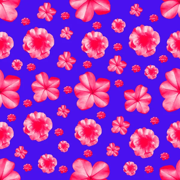 Élénk virágos kollázs Seamless Pattern — Stock Fotó