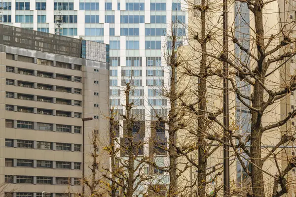 Shibuya District Architecture, Τόκιο — Φωτογραφία Αρχείου