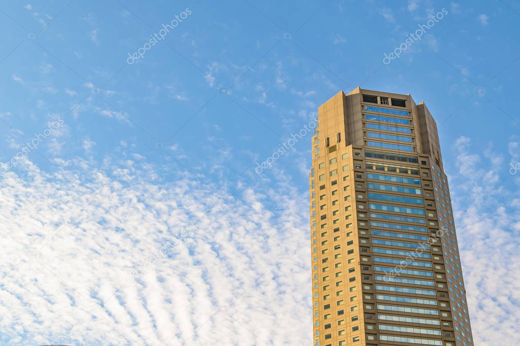 Low Angle Office Buildings, Shibuya District, Tokyo, Japan