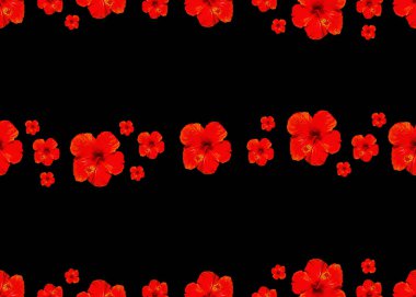 Kırmızı Çiçekli Siyah Arkaplan