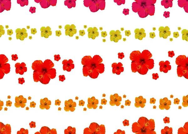 Πολύχρωμα ριγέ μοτίβα χωρίς ραφή στο τοπίο των λουλουδιών — Φωτογραφία Αρχείου